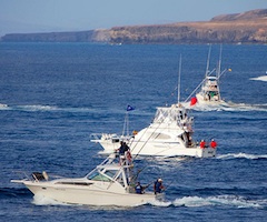 Benalmádena reúne a cerca de 40 embarcaciones en la Copa del Rey de Pesca de Altura en el Puerto